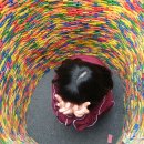 아르피나 이미지