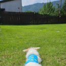 바우하우스 105 이미지