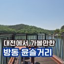 대전가볼만한곳 방동저수지 윤슬거리 음악분수시간 버드내관찰원