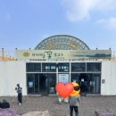 농업회사법인꽃과사람주식회사 | [제주 관광지] 폭삭속았수다 촬영지 메밀꽃오라 with 청보리밭 방문후기