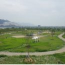 낙동강관리본부 대저생태공원 1 이미지