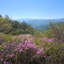 새연동진입로 | 남원 지리산) 바래봉 운지사코스 등산(용산주차장~바래봉~팔랑치)/허브밸리 주차장(무료)/소요 시간...