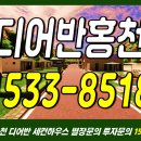 주식회사 어반수영장 이미지
