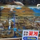 마린보이수산 이미지