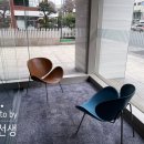 WSA 와인아카데미, WSET Level 2 중급 Web 강의 시음수업 후기