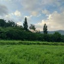 [정보] 생활의 지혜 : 에어컨 28도의 비밀 이미지