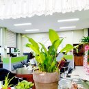 엠제이푸드 이미지