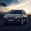 주식회사 플레이니스 | 투싼 NX4 엠비언트 밋밋하시죠? 순정 연동으로 이 정도까지 가능합니다