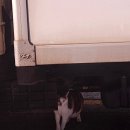 세븐일레븐 구미4공단점 이미지