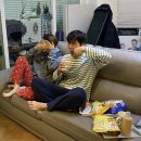 애송이 이미지