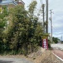 주교면행정복지센터 이미지