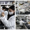 주식회사 반다비앤에이치
