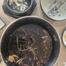 요달의 찜닭 진영점 이미지