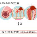 새로이동물병원 이미지