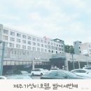 제주 가성비 호텔 조식 포함 가격이 이정도? 여길 세 번째 찾은 이유