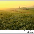 이슬목장 이미지