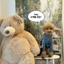 삼형제농장 이미지