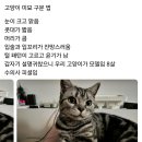 미묘 이미지