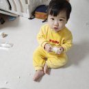 원스쿨어린이집 | 수원 용인 돌떡 어린이집 답례떡 한섬공방 푸곰돌이 백설기