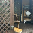 복돌네민박 | 강릉 주문진 숙소 복돌네민박 촌캉스 후기