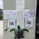 쉐프가수 최영현의 취팔러마 네이버블로그