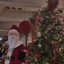 다운트 | 부산 전포카페거리 DAUNT(다운트) 방문 후기｜블랙아이스티·핸드드립·브라우니 먹어봤어요 (부산 카페...