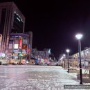 돈키호텔2 이미지