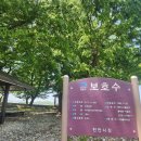 제일육묘장 이미지