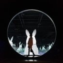 원오농장 | [코로나 속 제주여행] 1월 제주공항 코로나 검사, 날씨, 제주 겨울 2박3일 일정과 경비