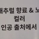 보틀버건디 이미지