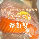 회향 | 내돈내산 서울근교여행 강원도 춘천맛집 회향 !!! 광어+연어 세트 후기💜 입안에서 살살 녹는 회 퀄리티!