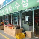 영동인삼