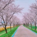 270-2587 | 전남 꽃 여행을 계획 중이라면, 구례!