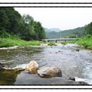 일영민박 이미지