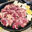 서가네오리 이미지