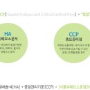 에이치앤에스 이미지
