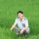 황금눈쌀(백용정미소)