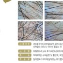 앙포레 모리노 헤어 이천점