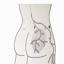 서울원선생한의원 이미지