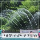 정량천 생태하천 이미지