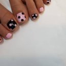 naillee 이미지