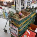 임영약국 이미지