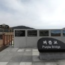 남도버스 이미지