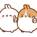비아페 이미지