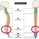 요가&소도구 필라테스 이미지