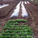 남기농장 이미지