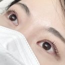 렌느브로우