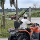 그린풀빌라 이미지