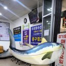 세종수산 | [맛집] 세종 종촌동 중부수산시장 포장후기