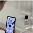 디어메르니